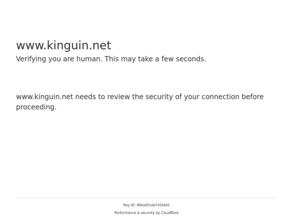 kinguin.net